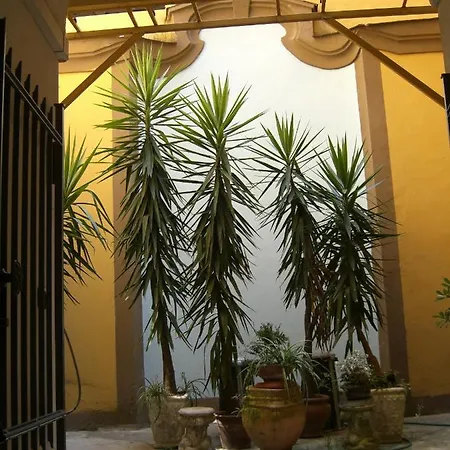 Affittacamere Daniela Apartment
