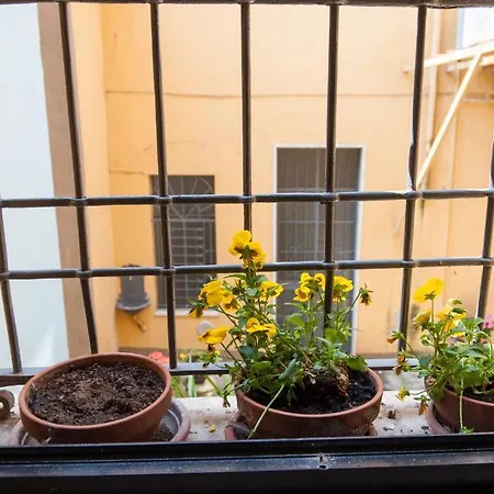 Apartman Affittacamere Daniela